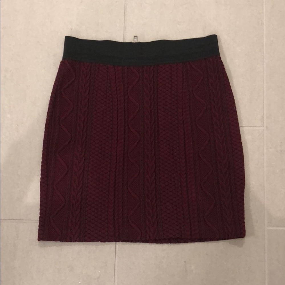 Joe’s Skirt